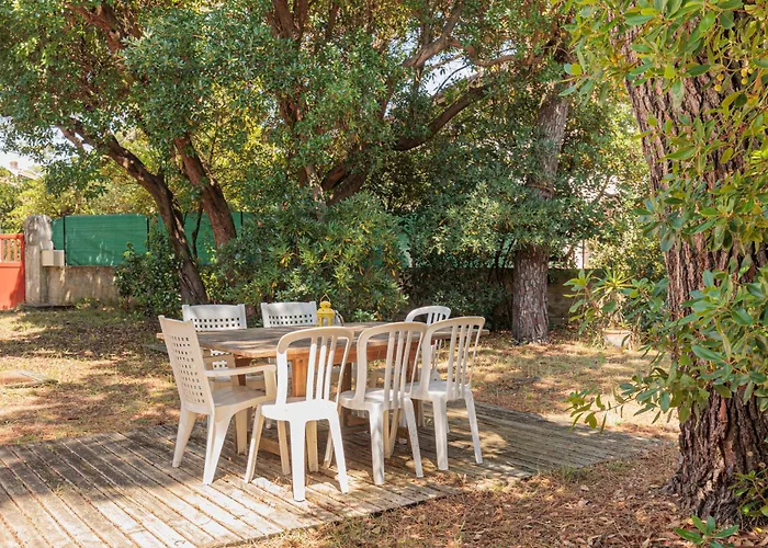 Prunelle - Welkeys Soorts-Hossegor