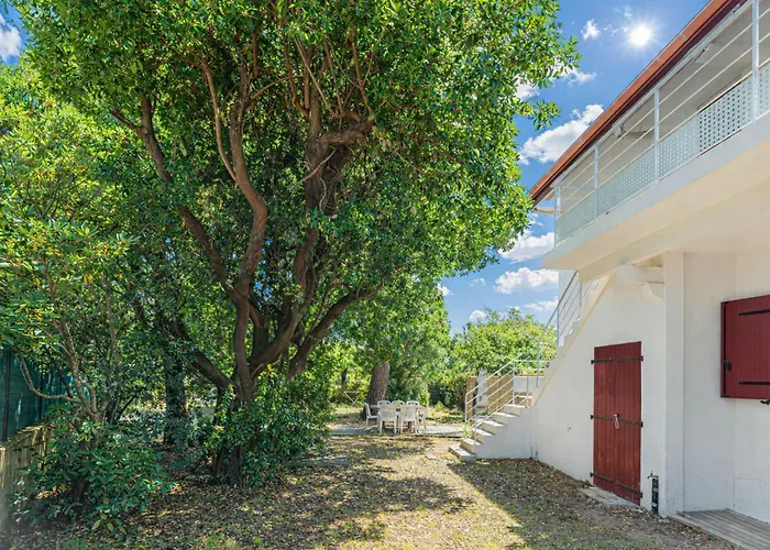 Prunelle - Welkeys Soorts-Hossegor